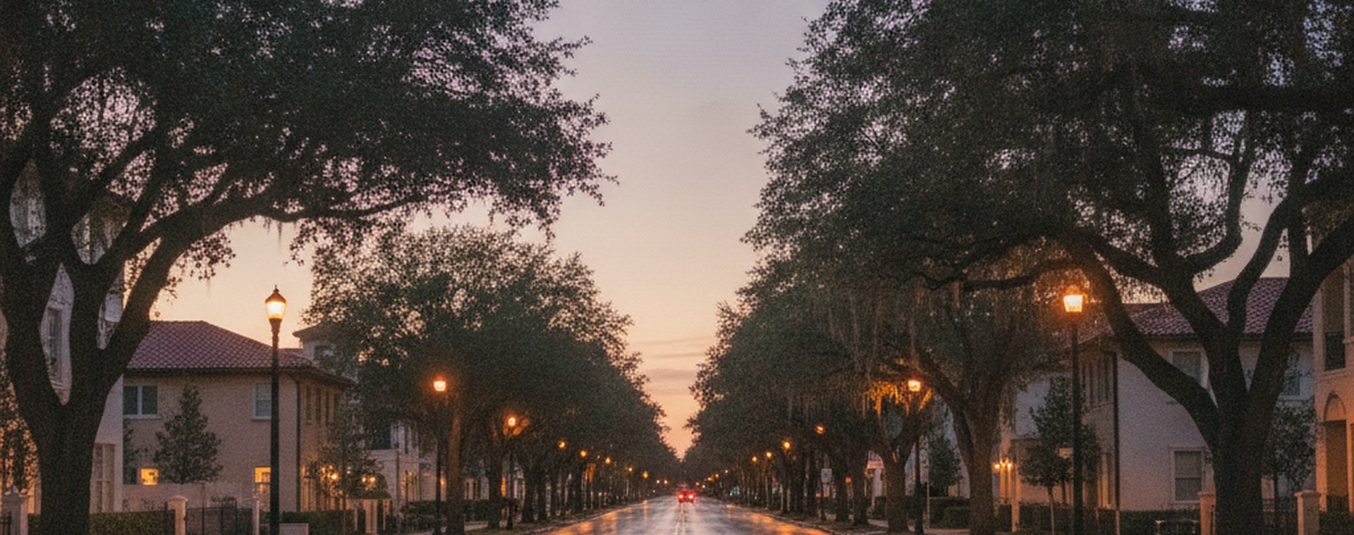 An empty Florida street at dusk under streetlights, wet asphalt and live oaks, distant tail lights