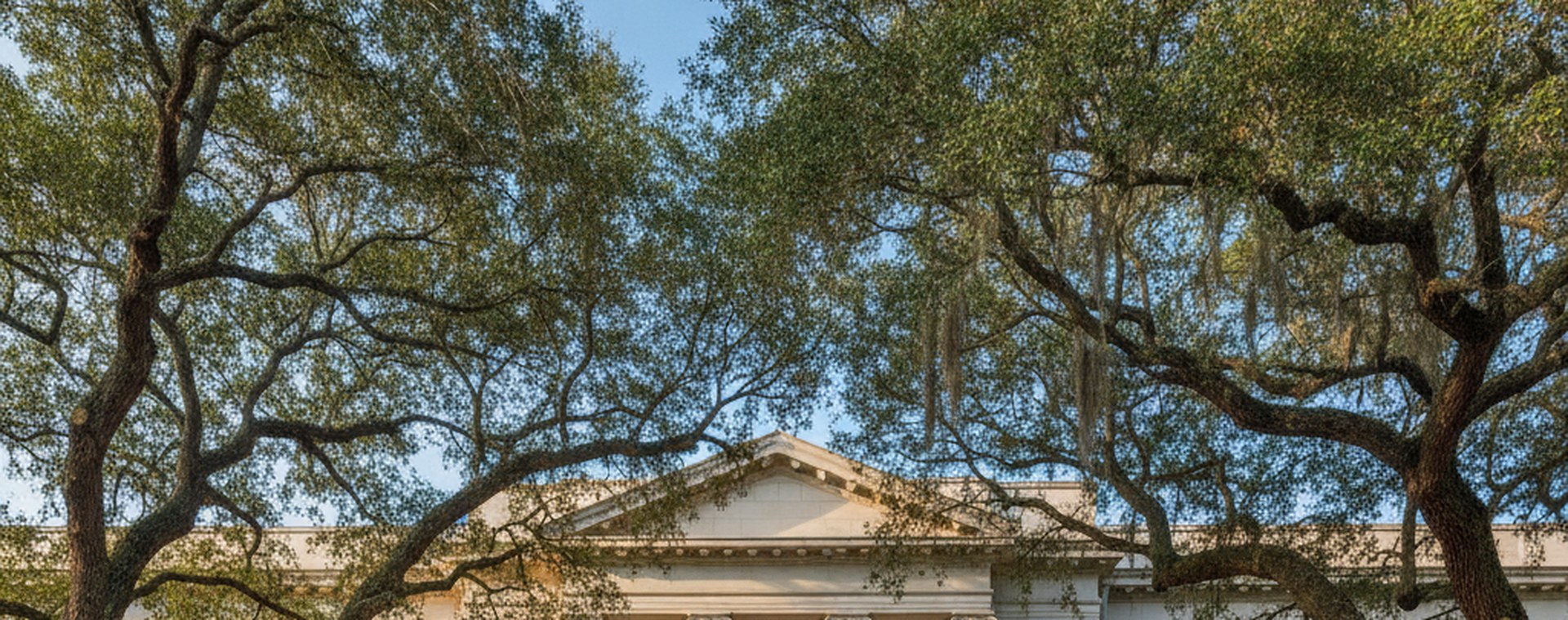 A pale stone civic building with columns and large live oaks in Florida, in clear morning light